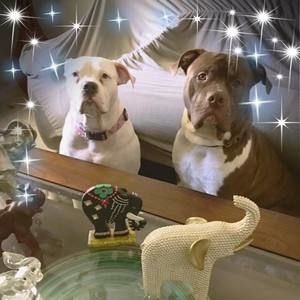 Meet your Posher, Angelika